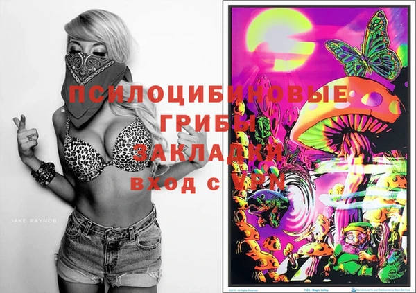 герыч Нягань