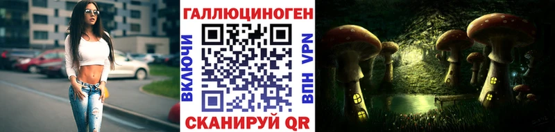 Галлюциногенные грибы Psilocybine cubensis  Инсар 
